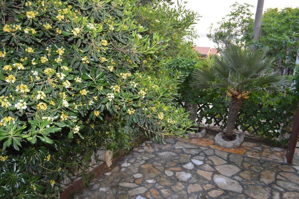 Apartment In Maslenica Jasenice  Exterior photo